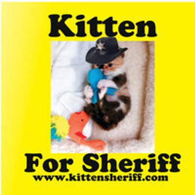 Kitten for Sheriff